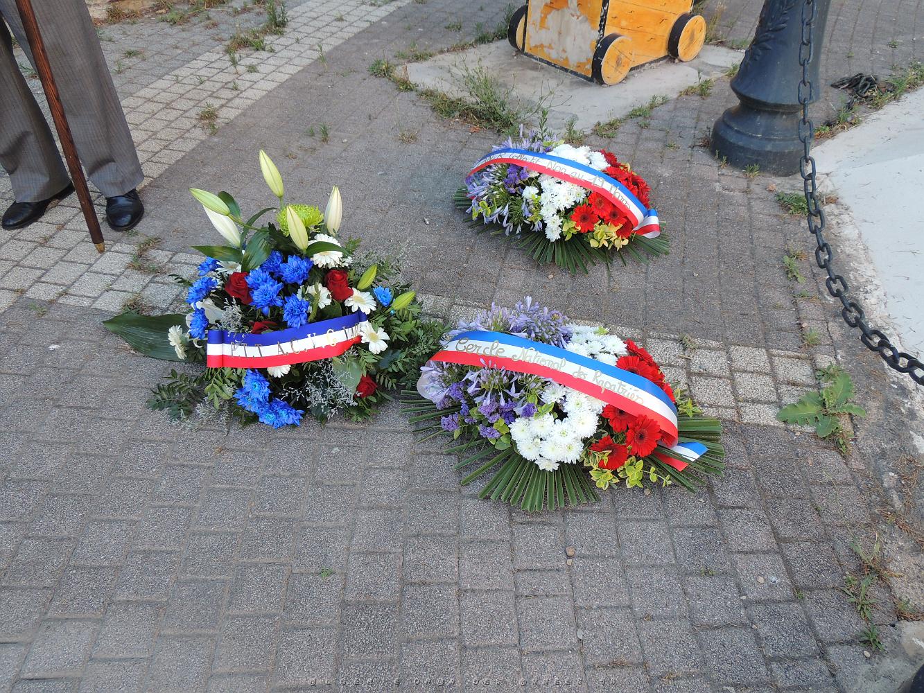 2021 07 05 TOULON-HOMMAGE DU CNR AU MASSACRE DU 5 07 1962 D'ORAN (7).JPG -           